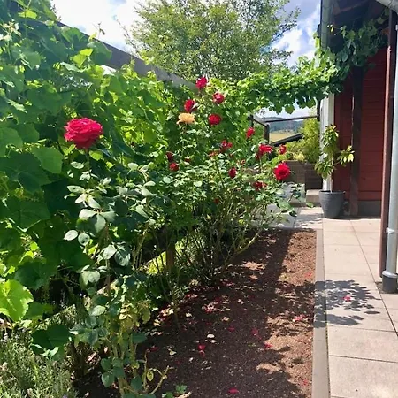 Urlaubsoase Im Edertal באד ברלבורג