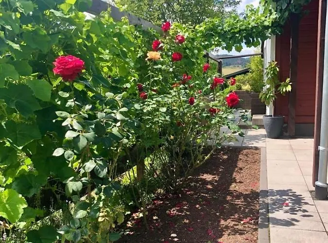 Urlaubsoase Im Edertal Bad Berleburg